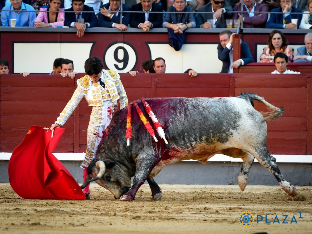 Álvaro Alarcón, con el toro de 'Cocherito' de su alternativa. / PLAZA 1