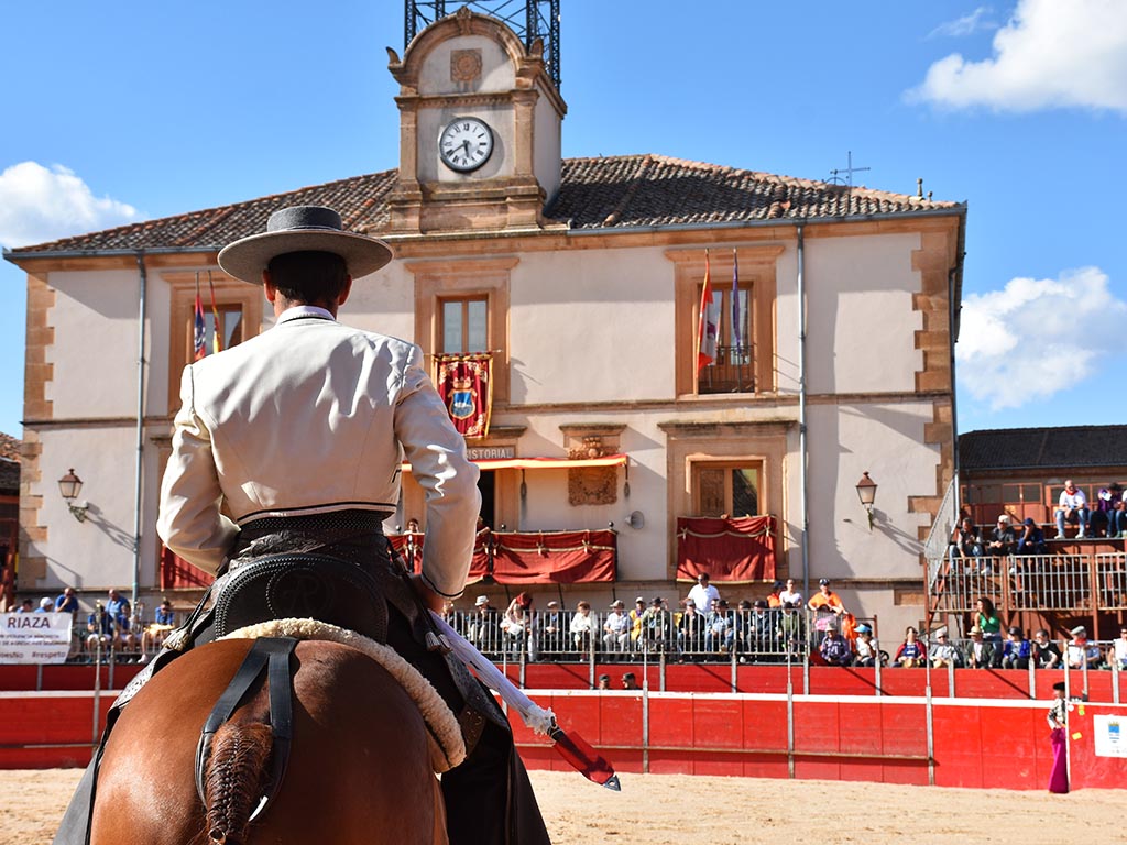 �Qu� plaza registr� m�s festejos taurinos en la provincia?