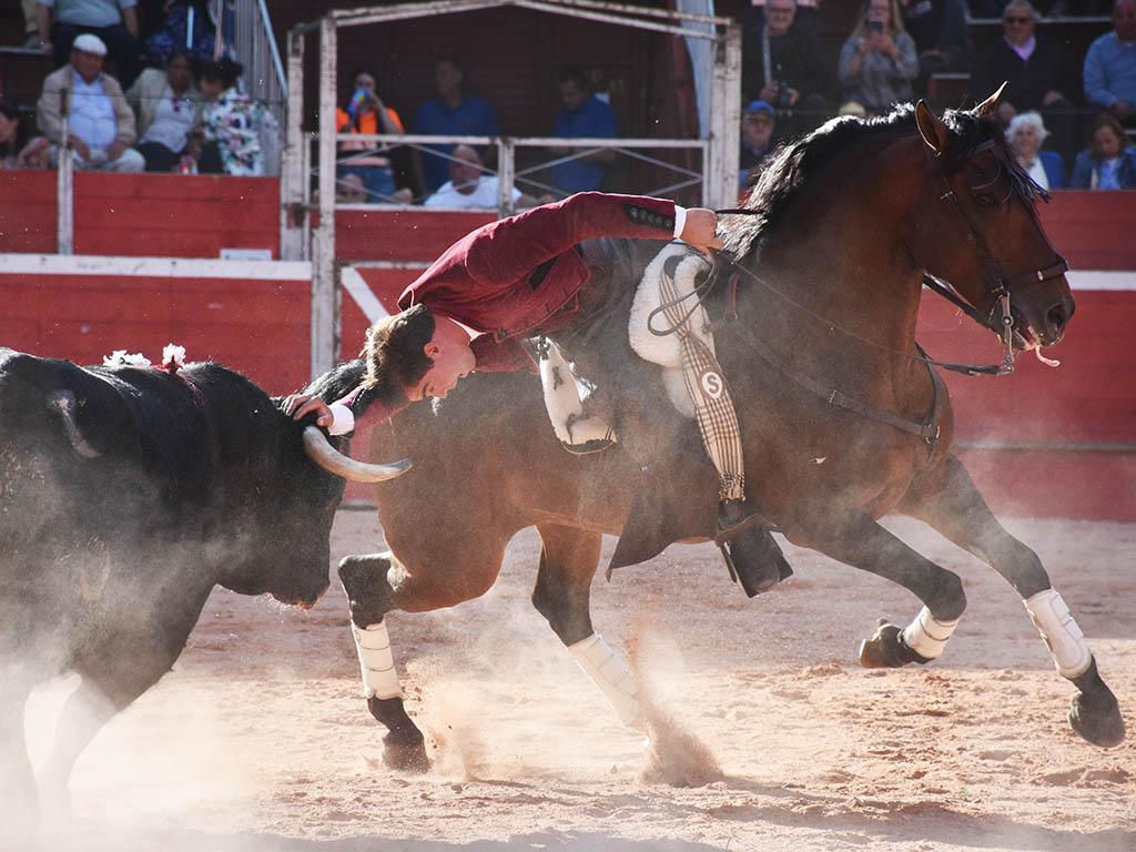 <h3  class='enlacePalabraNoticia'>Riaza</h3> | La estela triunfadora de Sebastin Fernndez